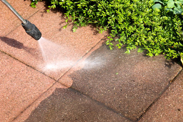 Best Roof Pressure Washing  in Topaz Ranch Estates, NV